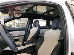 بي واي دي سونغ بلس